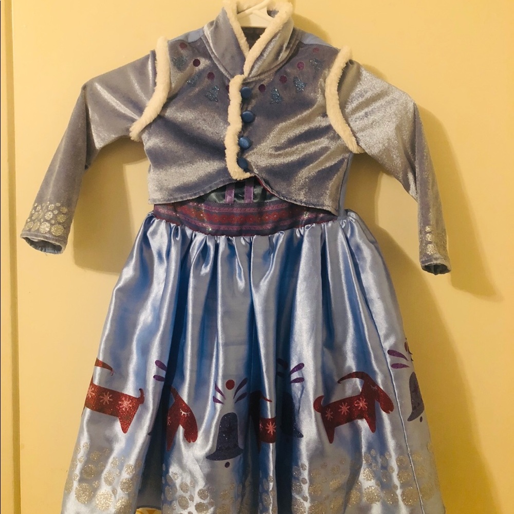 DISNEY FROZEN Ana Costume!